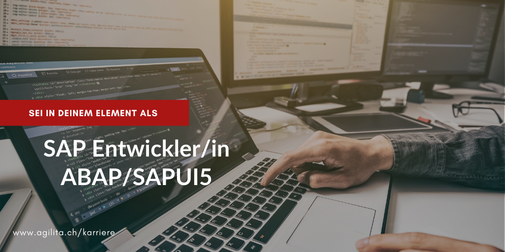 Agilita Ag Sei In Deinem Element Fur Dein Sap Job
