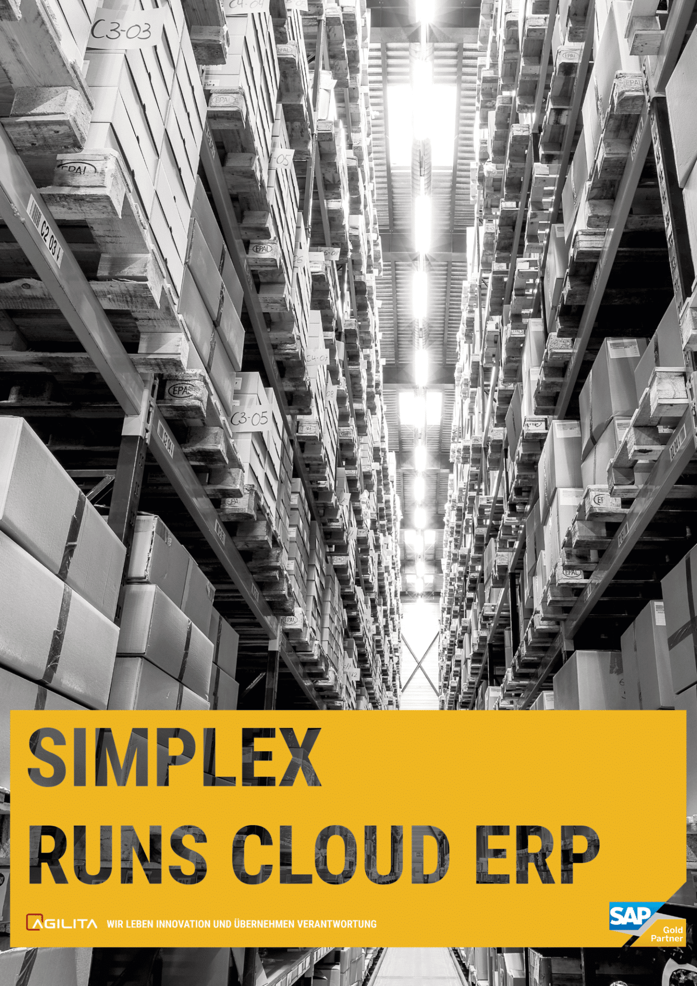 SAP Legends für Webseite_Simplex