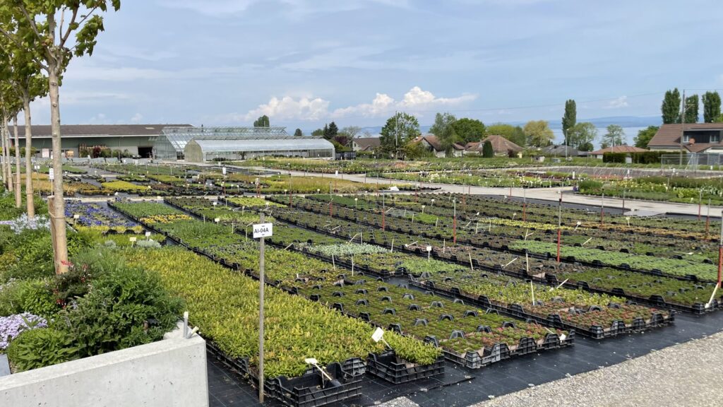 Zulauf Gartencenter und Roth Pflanzen arbeiten mit AGILITA.